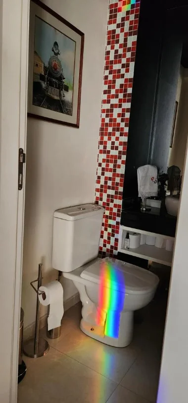 Apartamento à venda com 3 quartos, 117m² - Foto 11