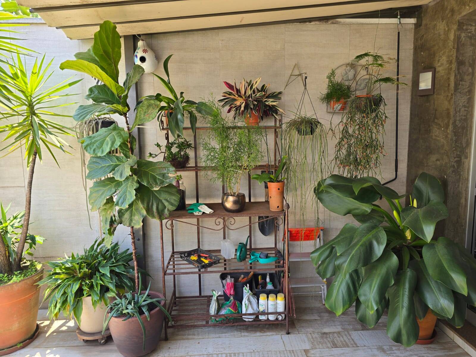 Apartamento, 2 quartos, 144 m² - Foto 5