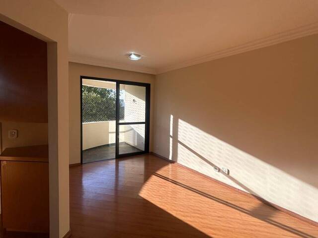 Venda em Vila Santa Catarina - São Paulo